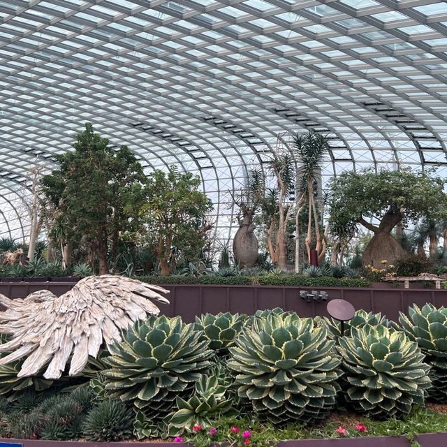 세계 각국의 다양한 식물을 볼 수 있는 싱가폴 가든스 바이 더 베이 플라워 돔