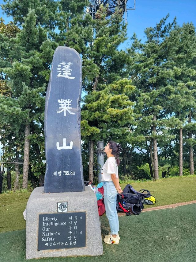 영월을 한눈에 담는 아찔 산꼭대기⛰️