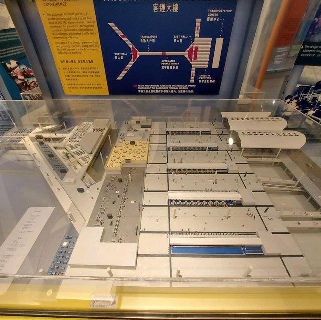 A place where aircraft regularly take off and land