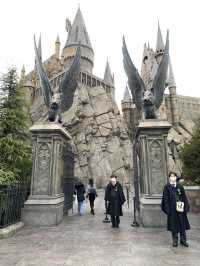 The Wizarding World Of Harry Potter 🧹✨
