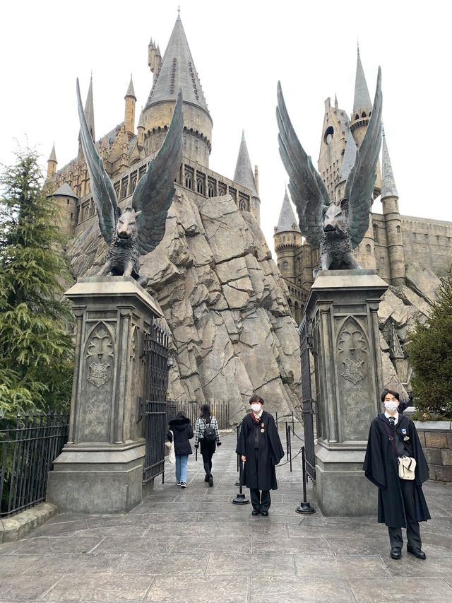 The Wizarding World Of Harry Potter 🧹✨