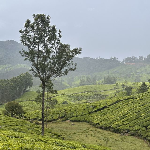 PARADISE OF KERALA