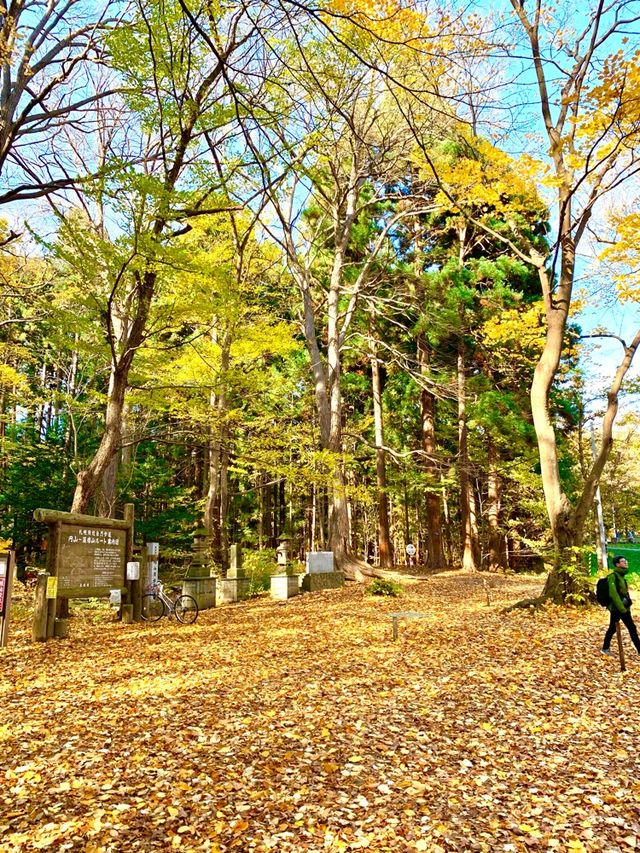 北海道　北海道観光　札幌の旅　札幌中心地で登山　円山八十八カ所の紅葉が見頃！