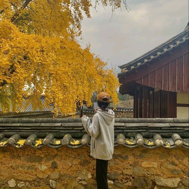 🍁논산 '명재고택'에서 한적하게 단풍 즐기기!🍁