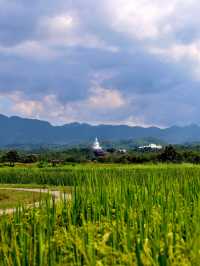 ✨ วัดพระธาตุปูแจ สักการะ ไหว้พระขอพรอันศักดิ์สิทธิ์