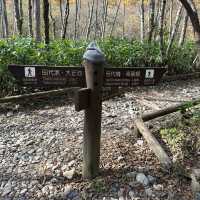神明降臨之地 上高地