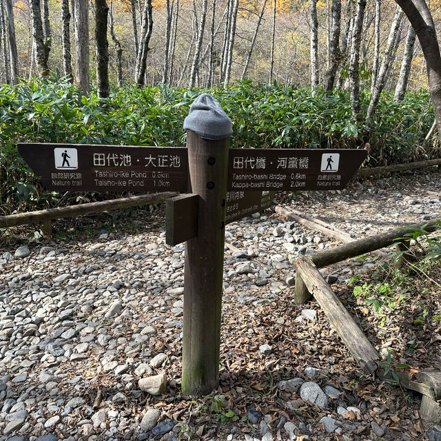 神明降臨之地 上高地
