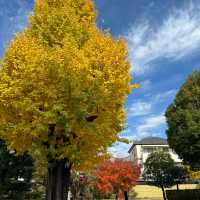 【京都】穴場の紅葉スポット！渉成園