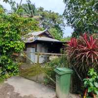 Singapore's Last Kampong 