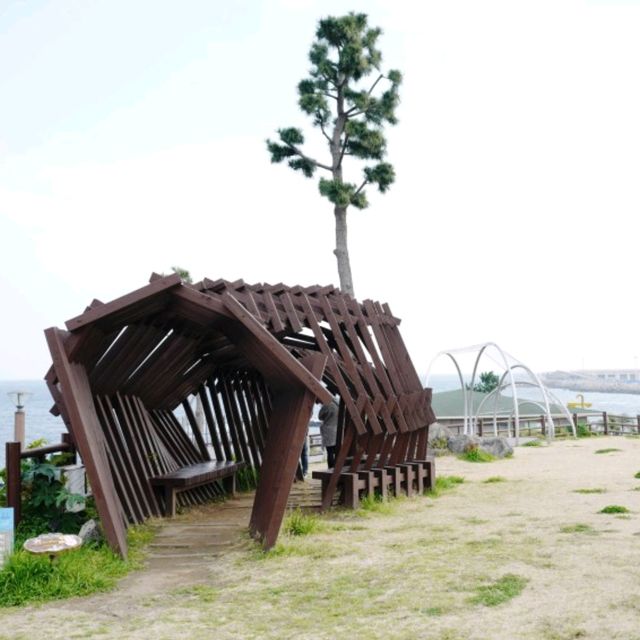 제주도 여행 자구리 해안 문화공원