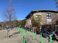 東京・上野。やっぱり『パンダ』の人気は絶大。日本で最初の動物園『上野動物園』