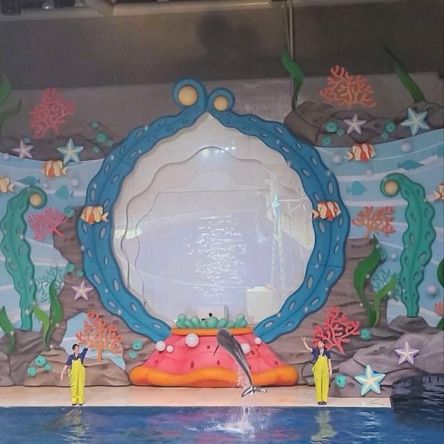 다이나믹한 다이빙쇼, 오션아레나 공연🐬