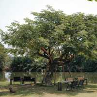 baanpat - บ้านพัฒก์