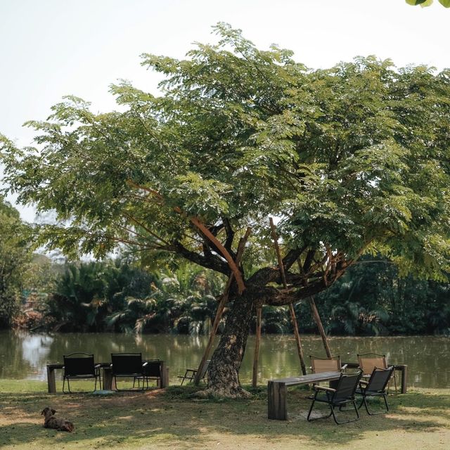 baanpat - บ้านพัฒก์