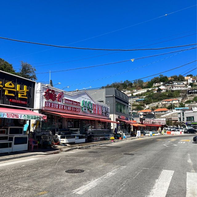 강원도여행 왔으면 이곳에서부터 시작! 삼척항 대게거리🦀