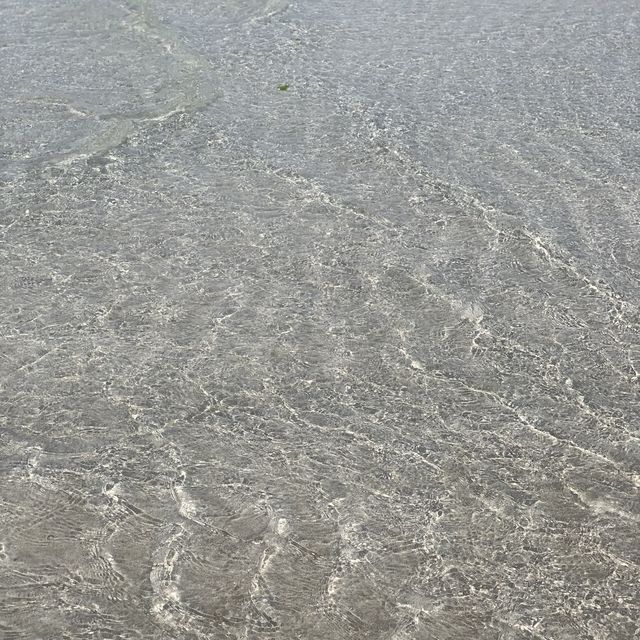 투명한 제주 협재해수욕장🌊✨