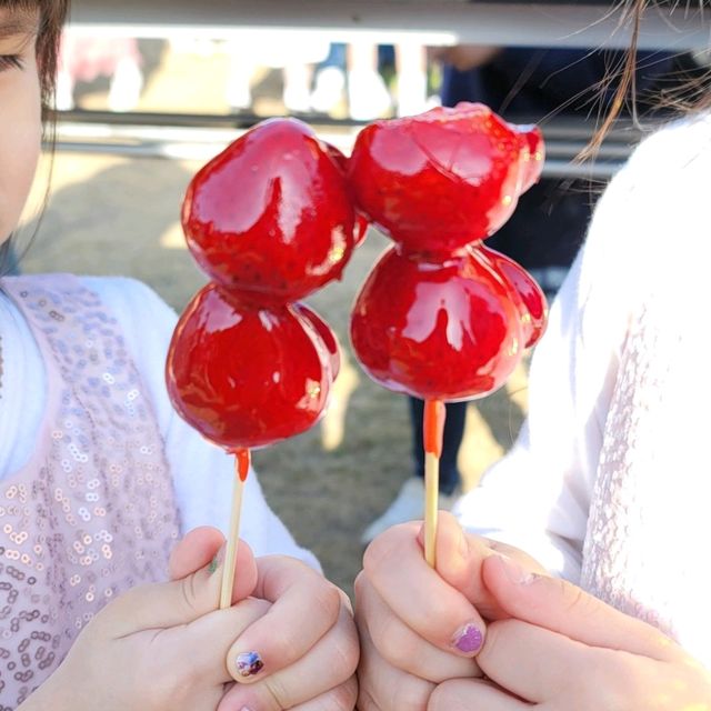 【九洲福岡遊】人在福岡之4月櫻花祭🌸