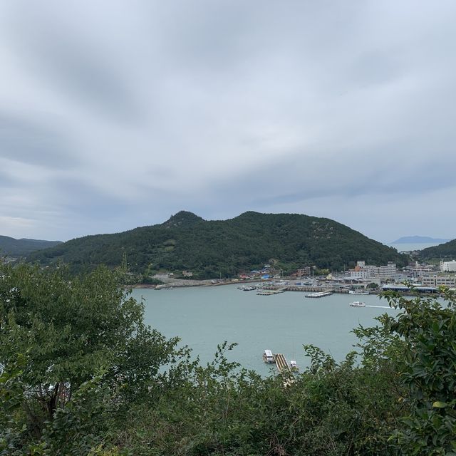 귀여운 고양이를 만날 수 있는 곳, 고흥쑥섬