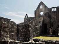 Tintern Abbey - Monmouthshire, UK