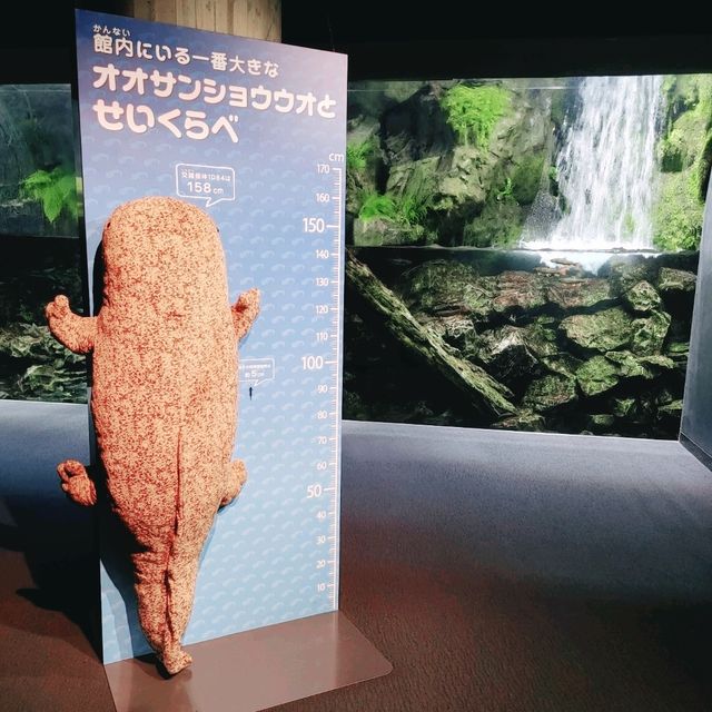 京都水族館　夜のすいぞくかん　期間限定