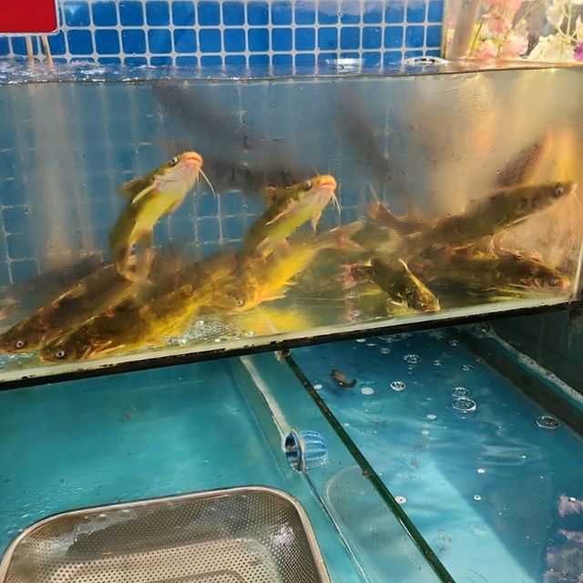 順德高性價比火鍋燒肉海鮮放題！