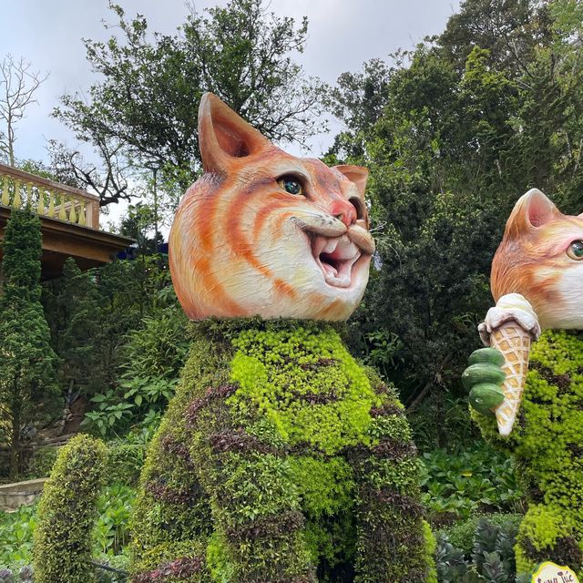 バーナーヒルズ