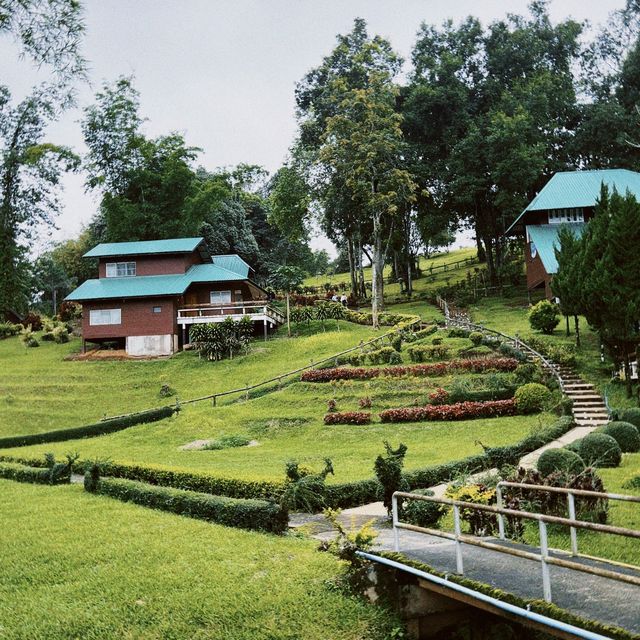 Pang Tong Palace: A Home for Wildlife