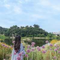 예쁜 코끼리 마늘꽃 보러 미르섬으로 가요