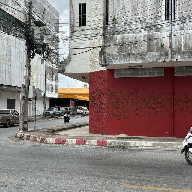 ชุมชนอาเนาะซูงา ✨ งานสตรีทปัตตานี 🏘️📸⏳