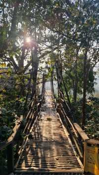 YAYO FARM Doichang