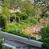รีวิว โรงแรม Banyan Tree Krabi