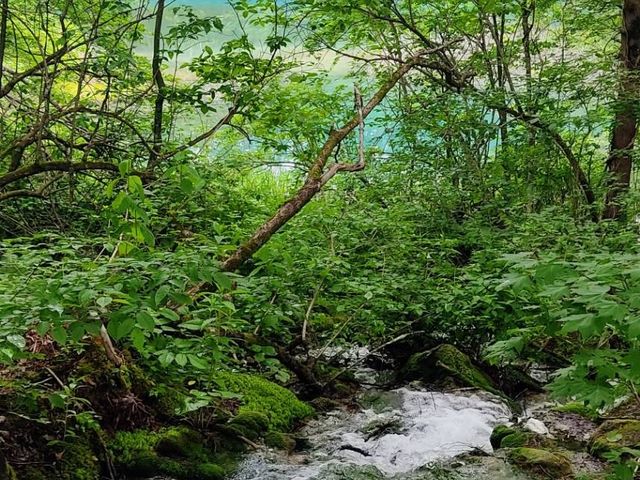 Goshiki-numa pond 🇯🇵💦🦋