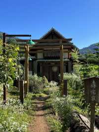ไปเที่ยว Mori Natural Farm ที่เชียงใหม่กัน!🌳