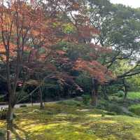 19세기 일본정원에서 산책해볼까요? 도쿄 기요스미 정원에서🍃