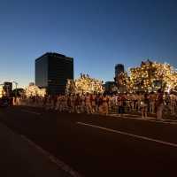 Natsu Matsuri(Summer Festival)🇯🇵🏯✨