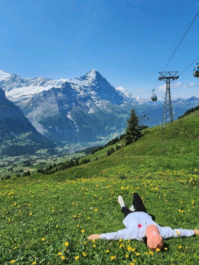 🇨🇭 스위스 필수코스 피르스트
