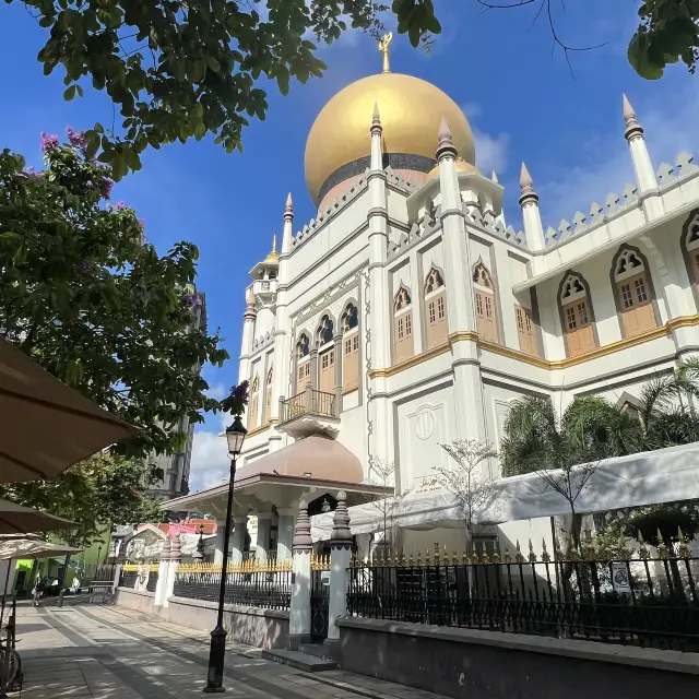 🇸🇬A whole new world at the Sultan Mosque 🧞‍♂️