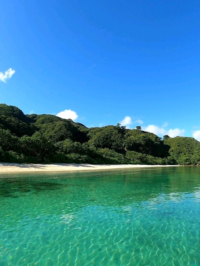 西表島で最もキレイと噂のイダの浜