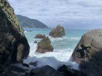 藍寶石海秘境粉鳥林