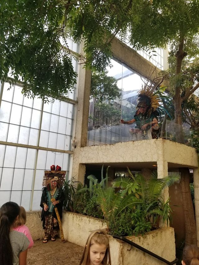 The Dallas World Aquarium 🐠✨