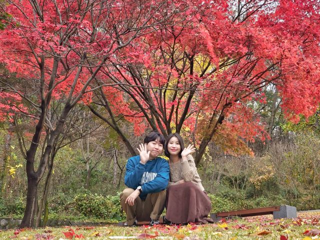 파주 단풍이 예쁘게 물든 자운서원🍂율곡이이유적✨