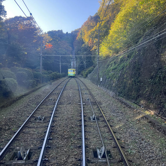 高尾山：登山愛好者的天堂與大自然融合之所
