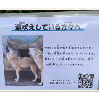 自動販売機にゾウの銅像！岩場にお正月飾り！