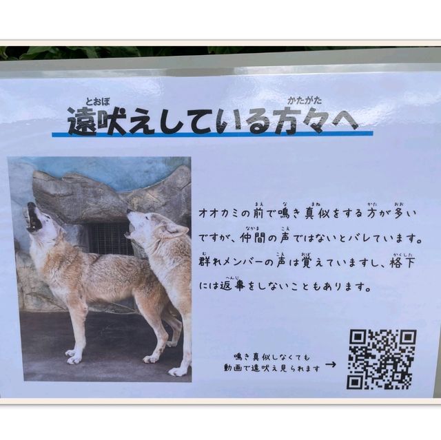 自動販売機にゾウの銅像！岩場にお正月飾り！