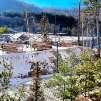 WINTER SONATA, RAMADA HOTEL PYEONGCHANG