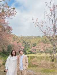 ศูนย์อนุรักษ์พันธุ์กล้วยไม้รองเท้านารี 🌸🌸