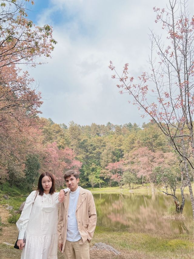 ศูนย์อนุรักษ์พันธุ์กล้วยไม้รองเท้านารี 🌸🌸