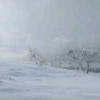 【美幌峠】が素晴らしい