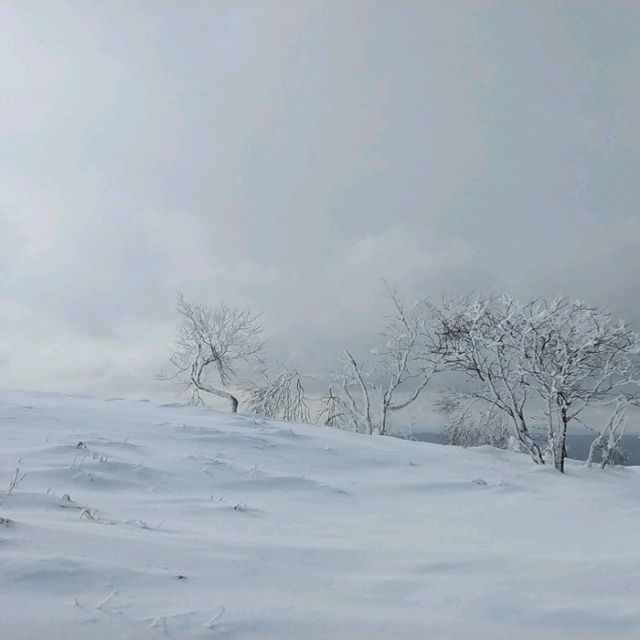 【美幌峠】が素晴らしい