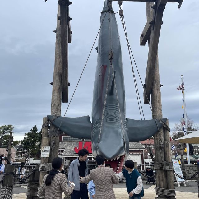 探索電影魔法的遊樂園，日本環球影城帶你體驗最震撼的主題樂園之旅！